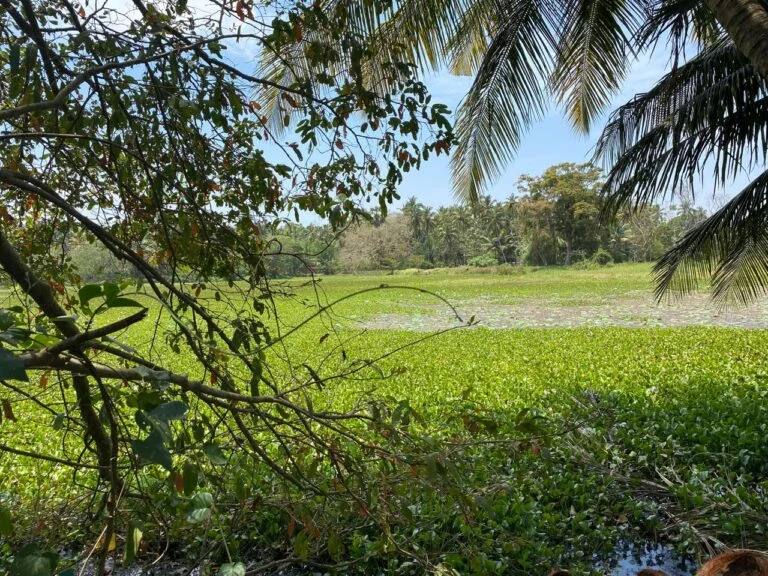 Sustainability at Navigeta Foods