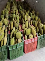 Food Storage 2