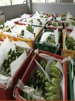 Food Storage 3